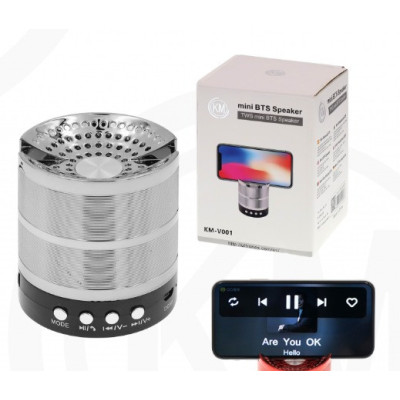 ALTAVOCES BLUETOOTH Plata [KM-V001]