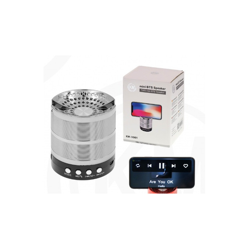 ALTAVOCES BLUETOOTH Plata [KM-V001]