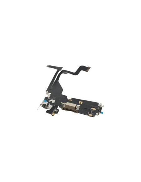 Flex de Carga para iPhone 13 Pro Oro