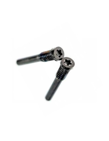 Tornillos Pentalobe para iPhone X / XR / XS / XS Max Negro