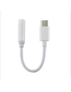 Otros Accesorios / Cable Adaptador Jack a  Jack 2