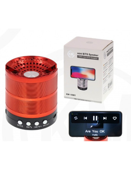 ALTAVOCES BLUETOOTH Plata [KM-V001]