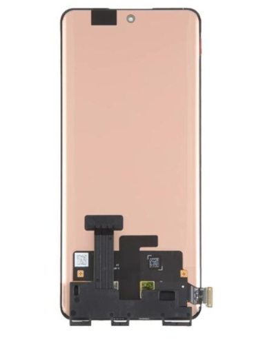 Pantalla completa para Realme GT 5G Sin Marco Negra INCELL
