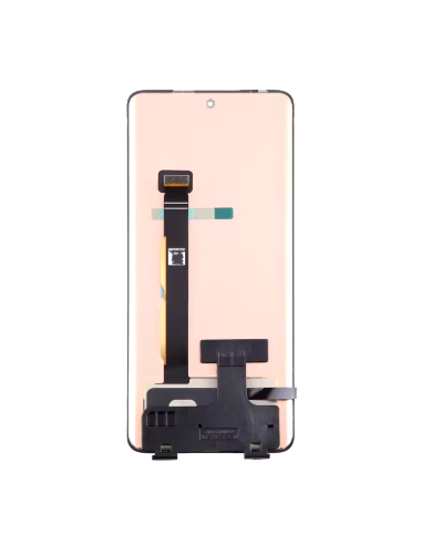 Pantalla Completa LCD Y Táctil para Moto Edge 40 / Moto Edge 40 Neo