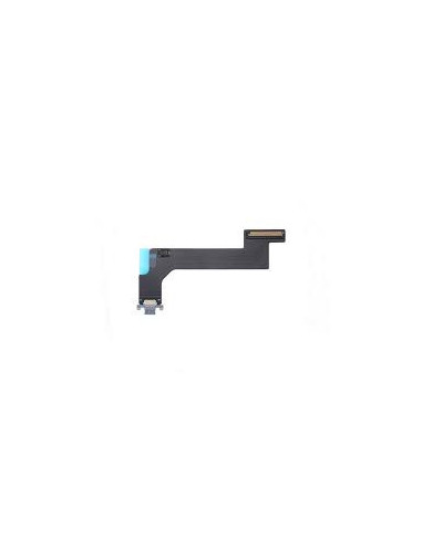 Flex de carga para iPad 10 (Calidad Original)