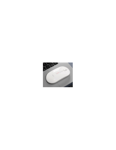 EBOX / M13 Raton Tri-mode Bluetooth Wireless Silencio Blanco